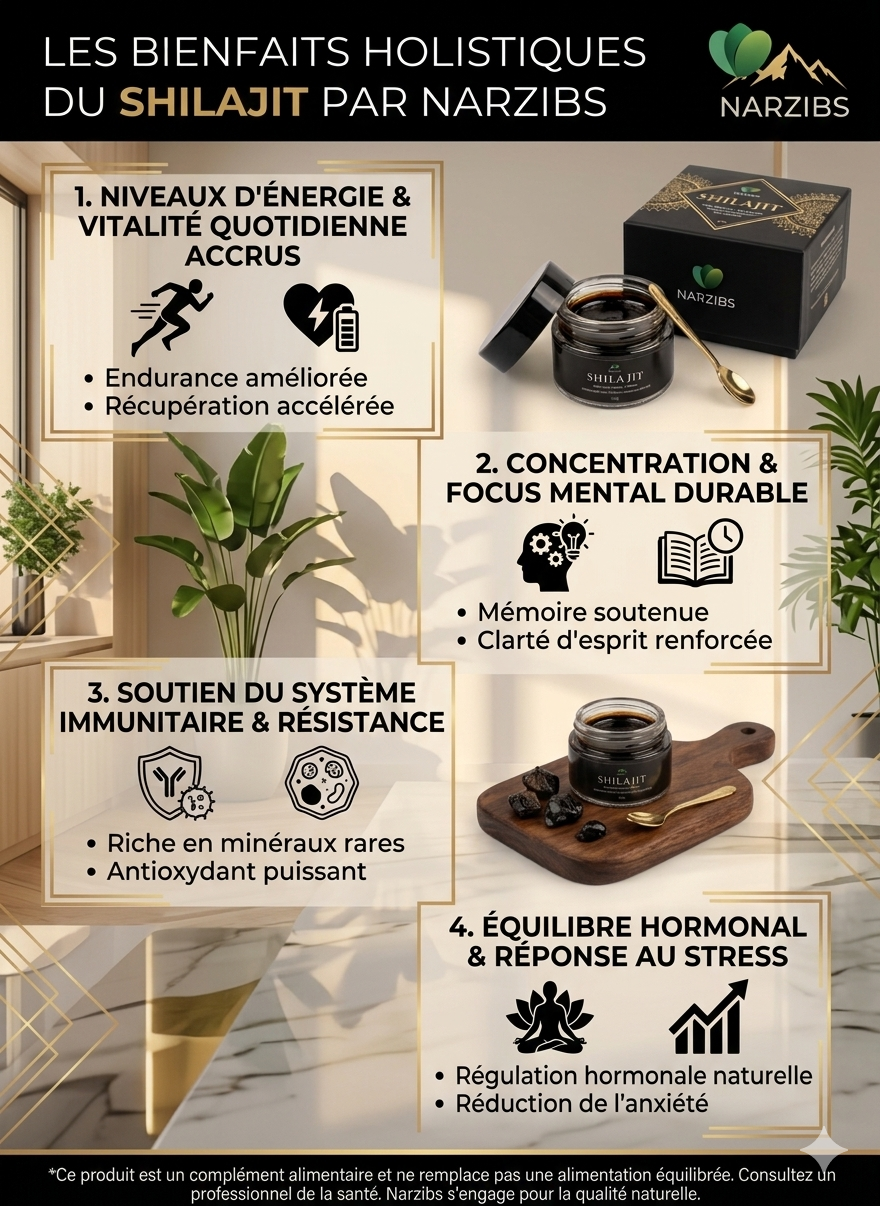 Les bienfaits holistiques du Shilajit par Narzibs
